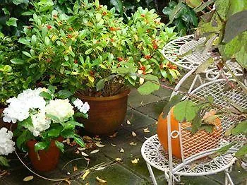 Bed And Breakfast Amsterdam Άμστερνταμ