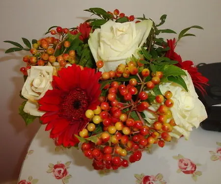 Bed And Breakfast Amsterdam Ξενοδοχείο