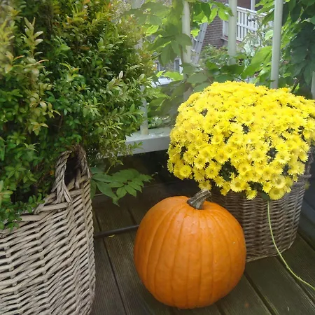 Bed And Breakfast Amsterdam Bed & Breakfast Amsterdam