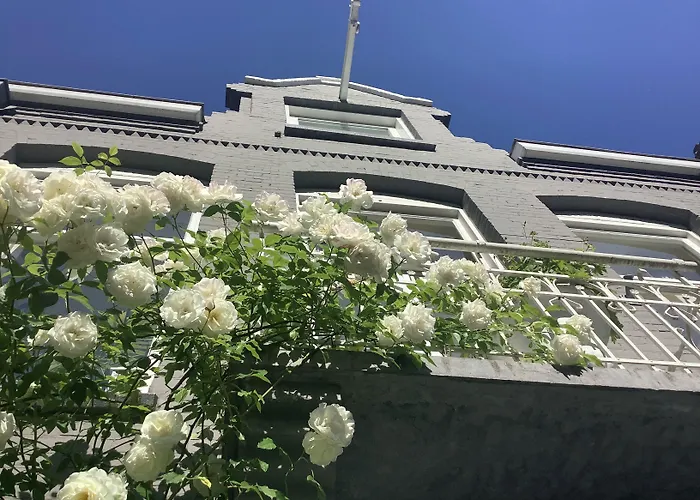 Bed And Breakfast Amsterdam Frühstückspension