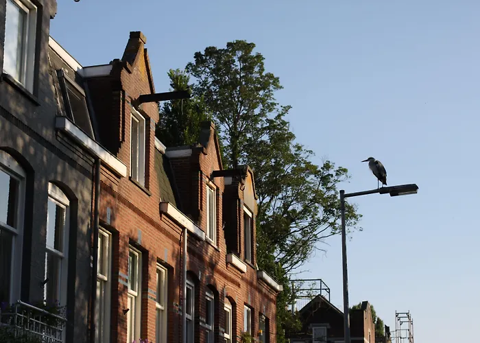 Frühstückspension Bed And Breakfast Amsterdam