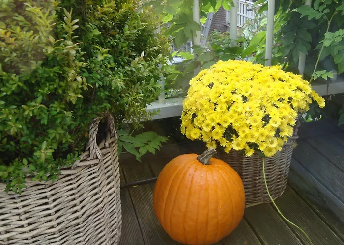 Bed And Breakfast Amsterdam Frühstückspension Amsterdam